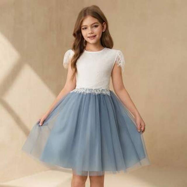 SHEIN Tween Girl Elegant Contrast Lace Contrast Mesh Tulle Party Dress