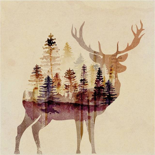 PJÄTTERYD tavla, Hjort, 60x60 cm