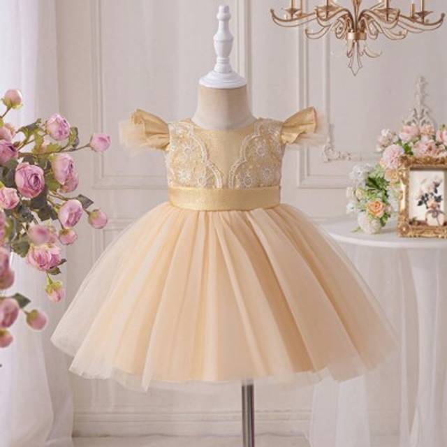 SHEIN Baby Girl Elegant Lace Contrast Mesh Tulle Dress