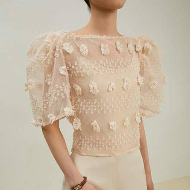 SHEIN Women&#39;s Floral 3D Puff Sleeve Sheer Short Crew Neck Crop Top, Spring & Summer