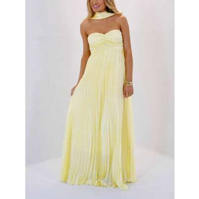 SHEIN Women Pleated Tube Long Dress With Choker Scarf Summer Sexy Backless Casual Strapless Maxi Dress Formal Cocktail Beach Sundress
