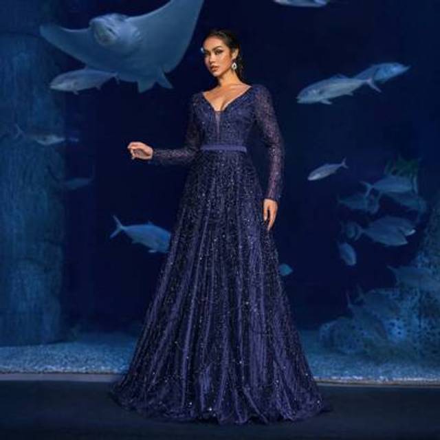 Faeriesty Haute Glamour Elegant V-Neck Long-Sleeve Beaded A-Line Evening Gown With Back Tie Closure â Perfect For Black-Tie Galas, Red Carpet Events, Gala Din
