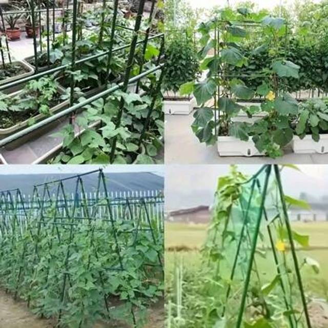 SHEIN 15pcs 8mm Plant Climbing Pergola Garden Support Plastic-Steel Tube Plant Support Climbing Pergola Flower Support Pole