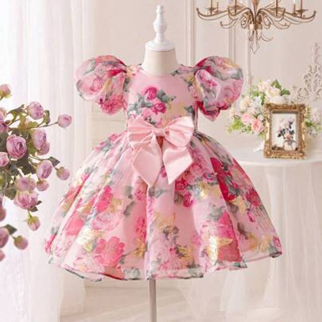 SHEIN Young Girl Woven Ditsy Floral Sheer Mesh Round Neck Puff Sleeve Form-Fitting Dress Toddler Elegant Dress Toddler Girl Dresses Wedding Guest Dress Kids