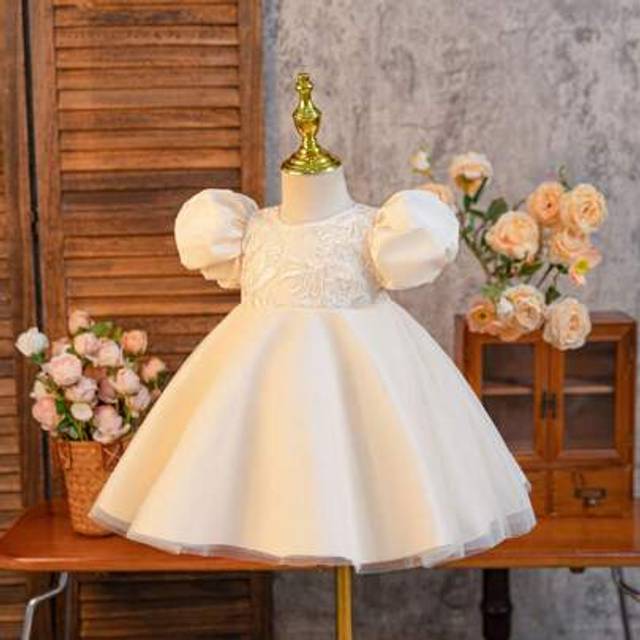 SHEIN Flower Girl Birthday Party Wedding Event Lace Tulle Puff Sleeve Princess Dress, Suitable For Stage Performance, Party Attendance, Photography, Beach,
