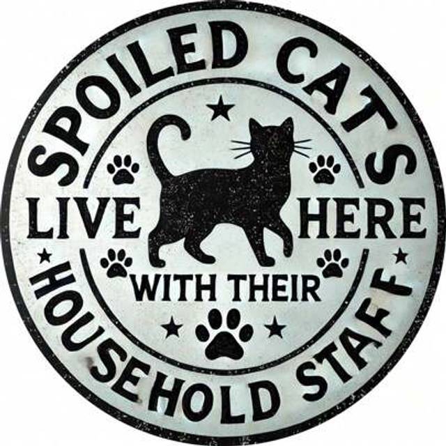 SHEIN 1pc Spoiled Cats And Their Family Live Here Metal Sign - 8x8 Inch Iron Wall Art, Suitable For Bedroom, Kitchen, Dining Room, Bar Decor - Unique Design