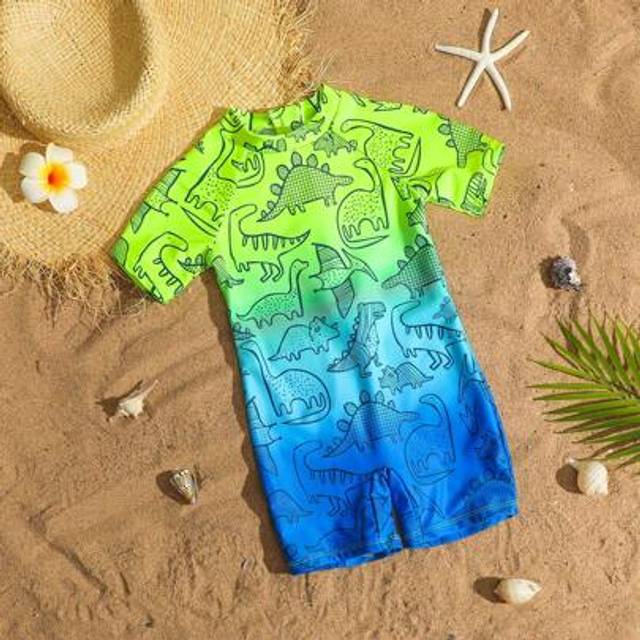 SHEIN Young Boy Ombre Dinosaur Zip-Up One-Piece Swimsuit, Sibling Matching Outfits (Sold Separately, 2pcs)