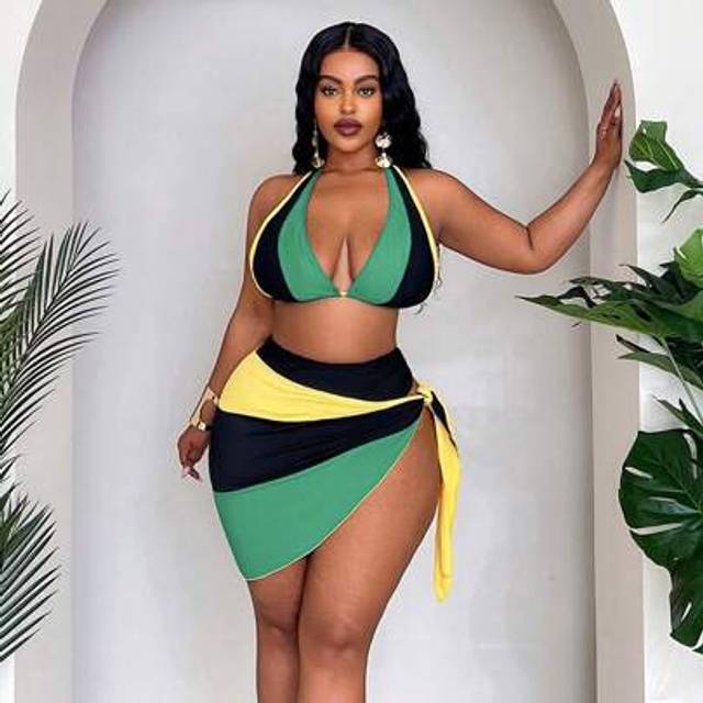 SHEIN Plus Size Women Beach Vacation Brazilian Color-Block Triangle Bikini Top With High Cut Thong Bottom And Wrap Sarong 3-Piece Swimwear Set
