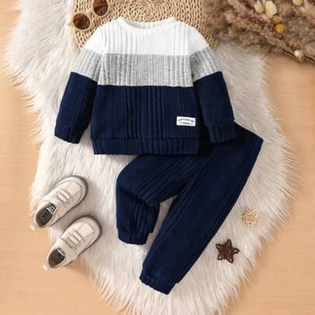 SHEIN Back To School Baby Boys Clothes 2pcs Set, Casual Colorblock Round Neck Top Paired With Black Pants, Autumn