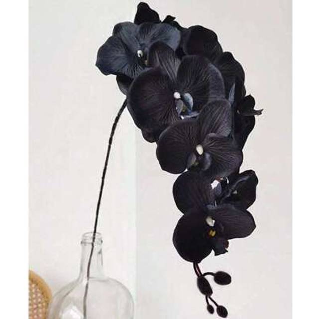 SHEIN 1Pc/2Pcs Artificial Black Orchid Flower Stem - Realistic Faux Orchid Decor For Home, Office, Weddings, And Bouquets - Elegant Black Floral Arrangement