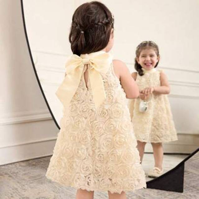 SHEIN Baby Girl Loose Cute Stand Collar 3D Flower Rose Embroidery Mesh Sleeveless Back Bow Midi Dress, Apricot And Champagne, Suitable For Wedding, Flower G