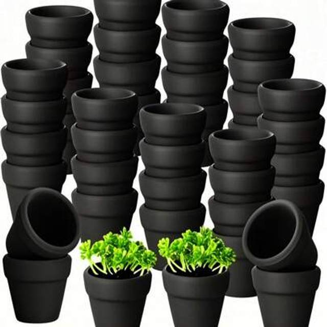 SHEIN 6pcs/1pc-Mini Terracotta Planter - Ceramic Planter For Succulents, Cacti And Handicrafts - Perfect For Windowsill Gardening, Wedding Gifts And Spring