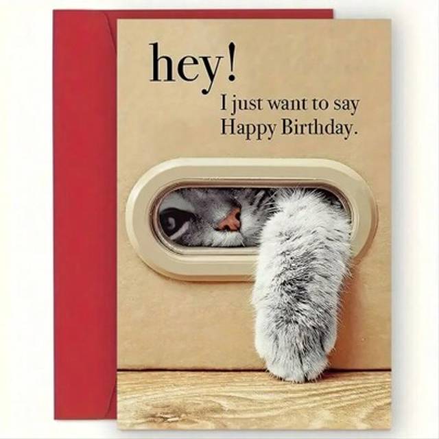 SHEIN 1pc Unique Cat Birthday Card, Best Gift For Family And Friends, Happy Birthday Card With Envelope, Unusual Things, Cute Aesthetic Items