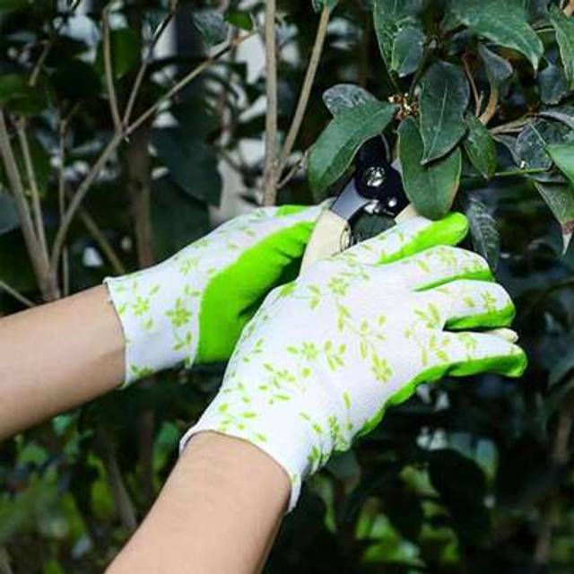 SHEIN 1 Pack Of 2 Anti-Slip Garden Decoration Cleaning Gloves, Comfortable Anti-Sting Women&#39;s Gardening Gloves, Work Gloves, Garden Work Women&#39;s Gloves, Wee
