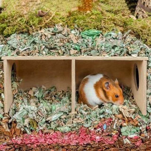 SHEIN 1pc Wooden Hamster Squirrel Hideout House, Hedgehog Wood Habitat Home For Guinea Pigs, Chinchillas