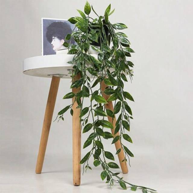 SHEIN 1pc Artificial Hanging Plant Pot, Green Faux Eucalyptus Vine And Mandevilla Vine For Indoor/Outdoor Decoration Of Home, Room, And Shelf, Valentine Day