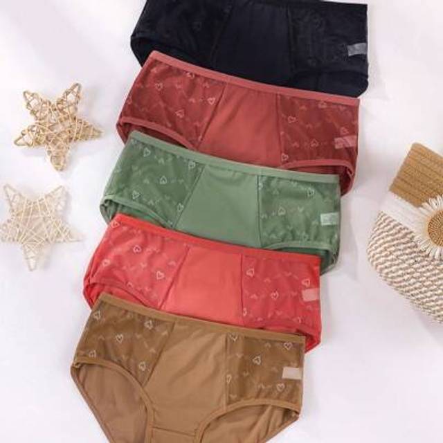 SHEIN 5 Pcs Women&#39;s Lace Seamless Triangle Panties Sexy Low Waist Briefs Lace Hollow Splicing Lingerie Comfortable Underwear