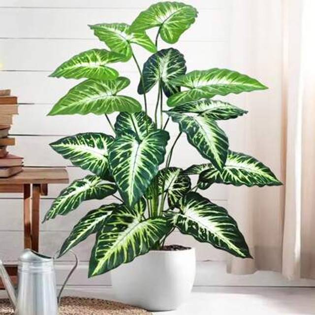 SHEIN 60-109cm(42.9in) Artificial Flowers Calla Lily Horseshoe Leaf Turtle Leaf Bobcat Leaf Fake Plant Ornamental Holiday Home Office Decoration Gifts Birth