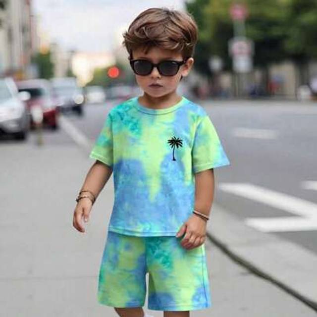 SHEIN 2pcs Boys Casual Coconut Tree Landscape Print Short Sleeve T-Shirt And Shorts Set, Suitable For Summer