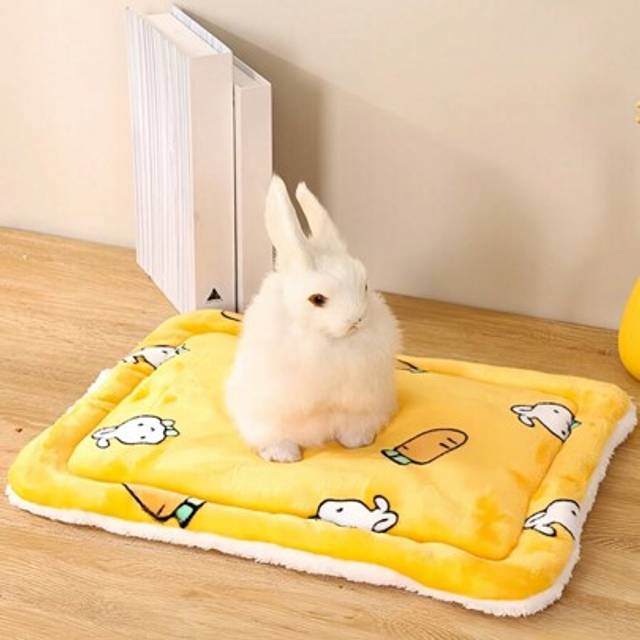 SHEIN Cartoon Printed Fleece Pet Pad With Random Inner Lining Color, Windproof And Warm, Thick Rabbit Foot Pad, Suitable For Small Pets