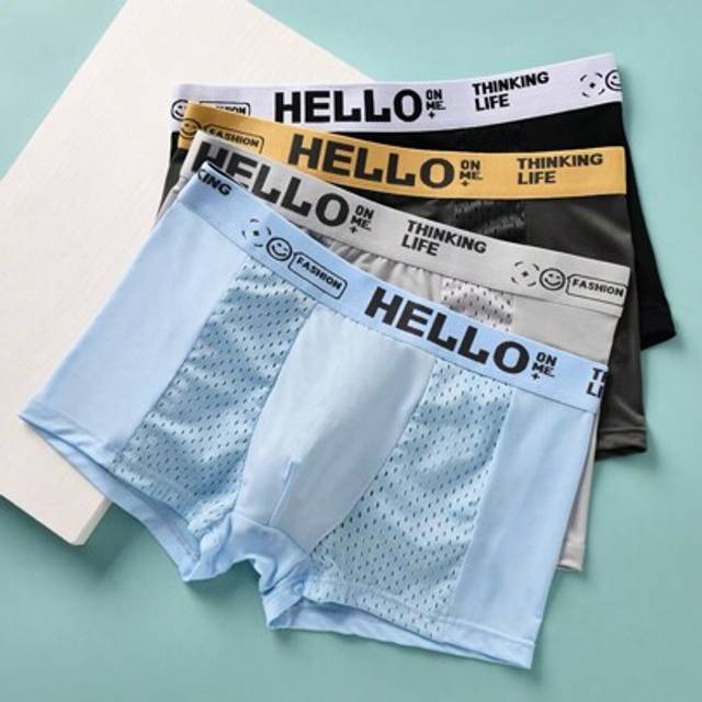 SHEIN 4pcs Men&#39;s Mesh Breathable Ice Silk Boxer Briefs, Summer HELLO Letter Print Underwear