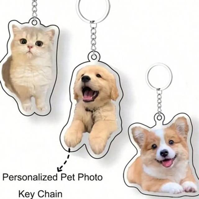SHEIN Stainless Steel Classic Round Acrylic Keychain Customized Engraved Colored Image Acrylic Keyring, And Personalized Pet Dog Picture Keychain, Family Je