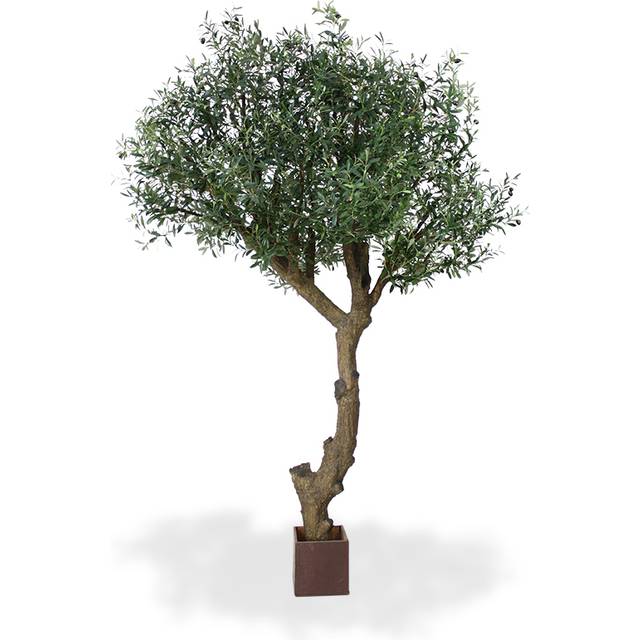 Konstgjort Olivträd (275 cm)