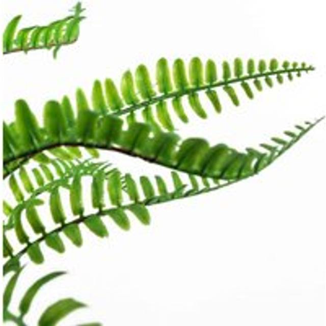 40cm Artificial Fern with Ceramic Planter & Stand