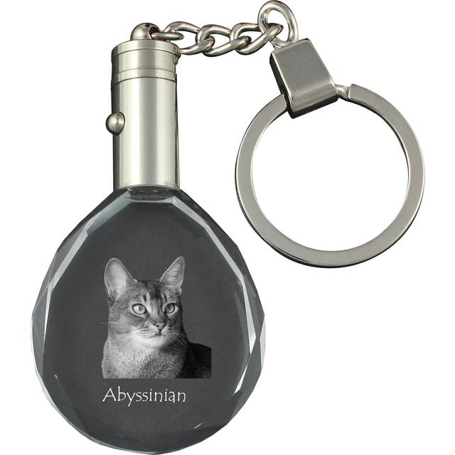 Abyssinian - Fob with cat photo, crystal key ring in gift box, unique gift by Art-Dog brand transparent