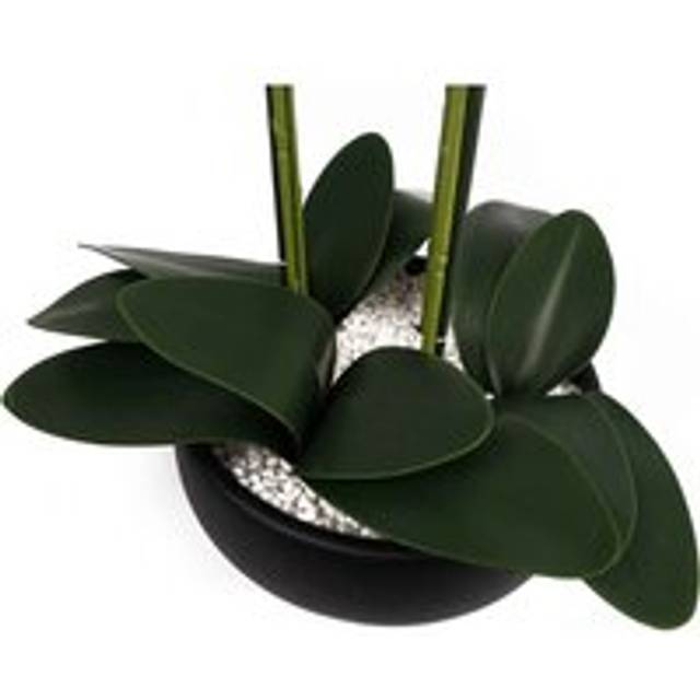 60cm yellow orchid in black ceramic planter - elegant home decor piece