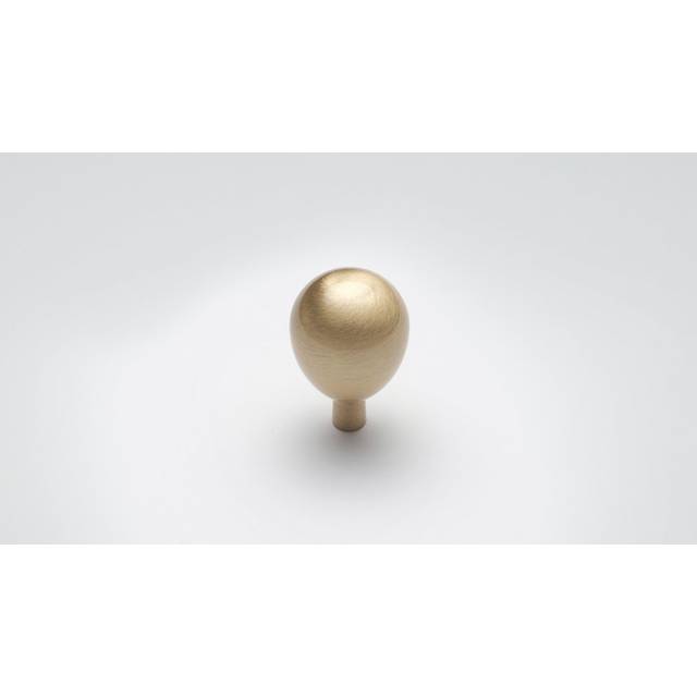 Tari 20mm Diameter Round Knob Multipack - Brushed Brass (2cm)