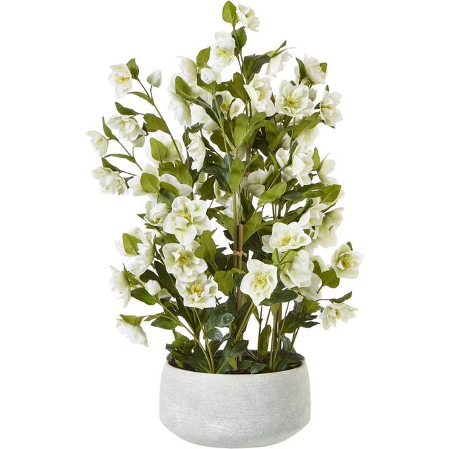 Large Hellebore in Pot - Plastic - L52 x W52 x H85 cm - White/Grey