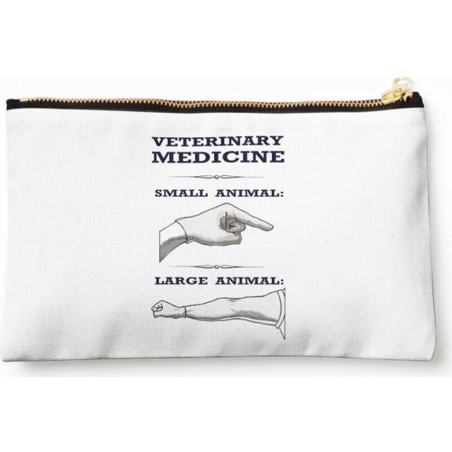 Makeup Bag Veterinary Medicine - Large vs. Small Animal Cosmetic Organizer Tyvek Paper Bags Zipper Pouch