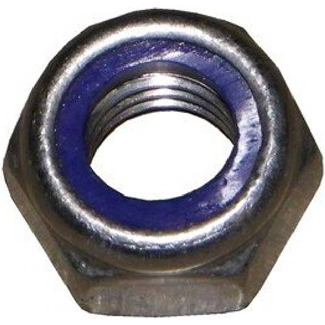 Plastica Nut M12 nyloc s/s A2