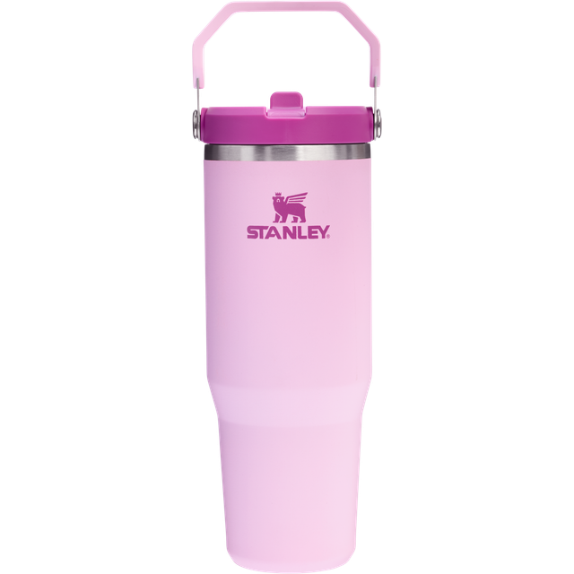 Stanley IceFlow Flip Straw Stainless Steel Leak-Proof Tumbler, 890ml