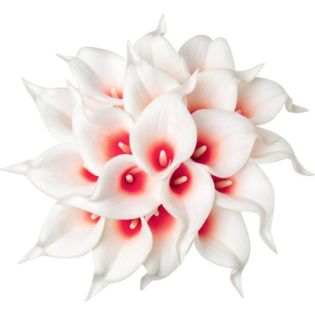 DuHouse 20Pcs Artificial Calla Lily Flower Real Touch Latex Flowers for DIY Wedding Bouquet Party Home Decor (White Red)