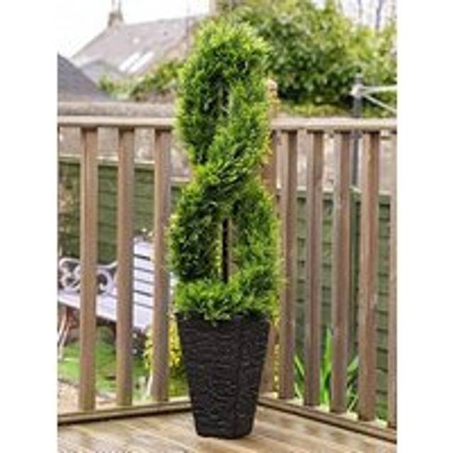 122cm Twisted Cedar Topiary in Square Pot UV - Green - One Size