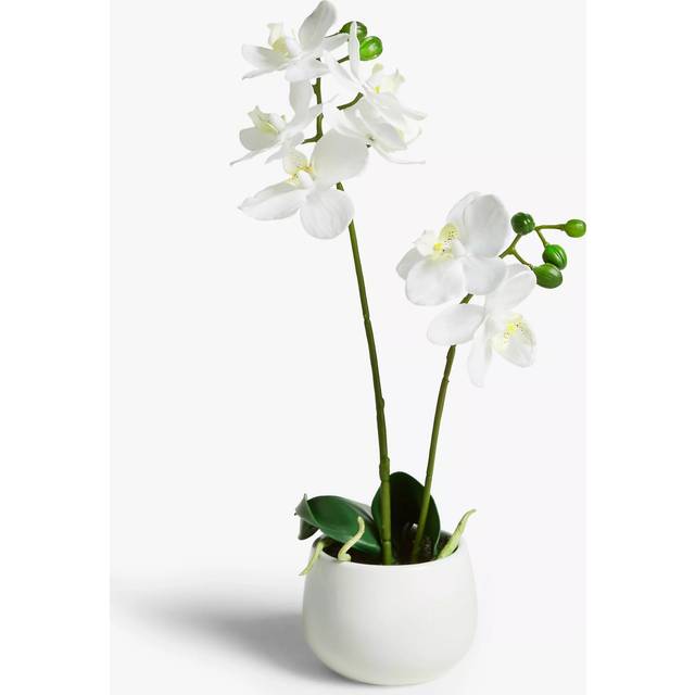 John Lewis Artificial Small White Orchid in Ceramic Pot
