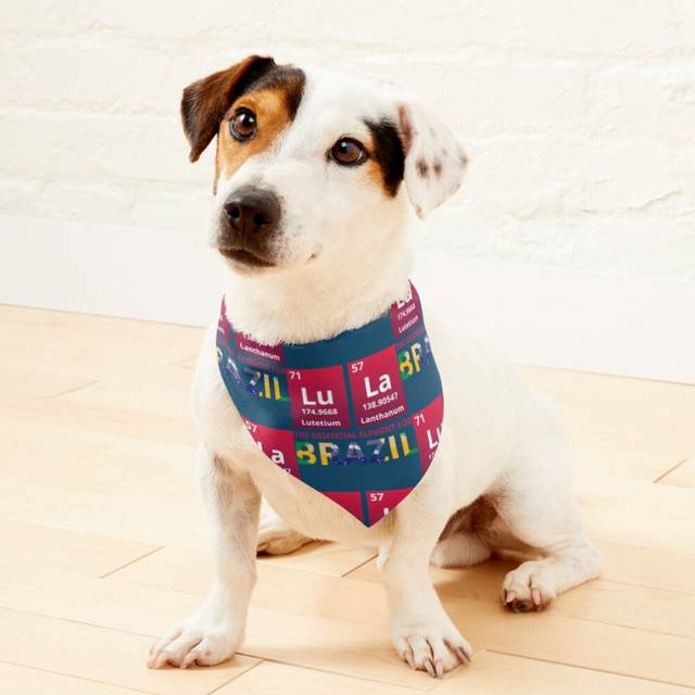 (Lula 2022 - The Element for Brazil =2727) 2-in-1 Pet Bandana Collar with Quick Release Buckle & D-Ring Adjustable Cat Scarf for Large/XLarge/XXLarge