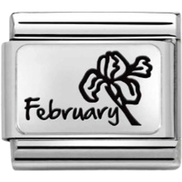 Nomination Classic Silver February Violet Flower Birthday &amp; Births