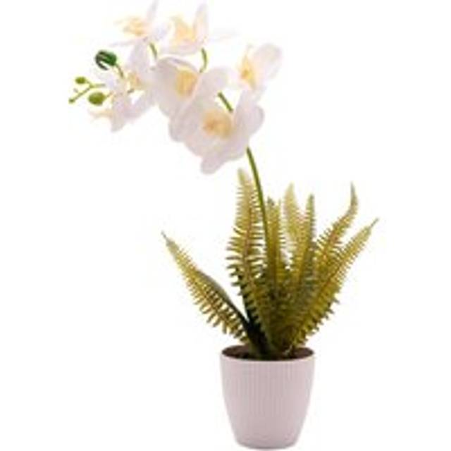 Country Living Large Artificial White Orchid in Ribbed Plant Pot