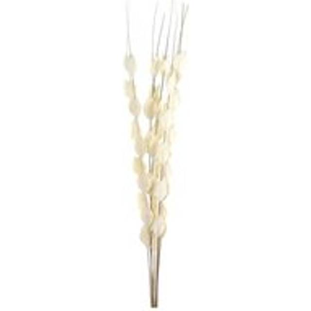 Hill Interiors Bouquet Of Dried Thlaspi Arvense Artificial Flower