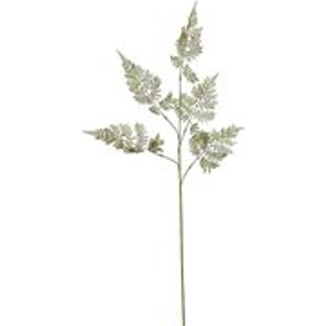 The Natural Garden Collection Large Bracken Fern Spray