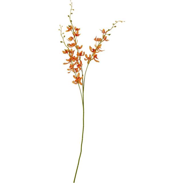 Cymbidium Spray (Single Stem Flower) - Plastic - L10 x W24 x H95 cm - Orange