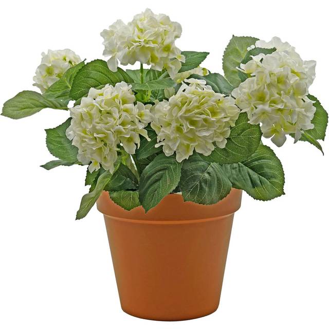 25cm Plant - White