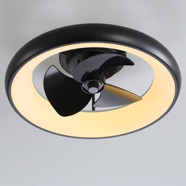 Industrial Style Ceiling Mount LED Fan with Light - Black