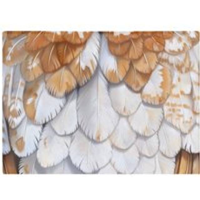 Barn Owl Feather Print Chopping Board - Brown - One Size