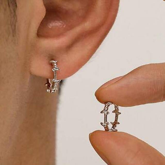 SHEIN 1 Pair Earrings In The Shape Of Wire Rings