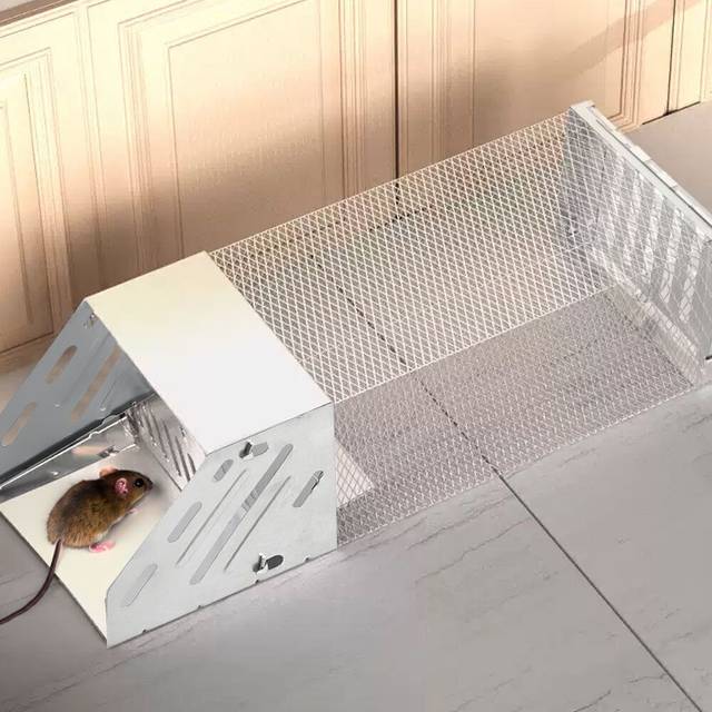 TEMU Humane Mouse Traps Live Catch And Best Selling Steel Cage