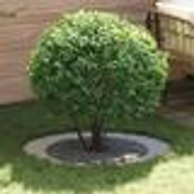 vidaXL Galvanised Metal Planter Galvanised Metal Large Durable - Silver